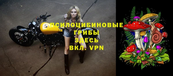дурь Ижевск