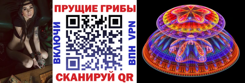 купить наркотики сайты Абинск Псилоцибиновые грибы ЛСД